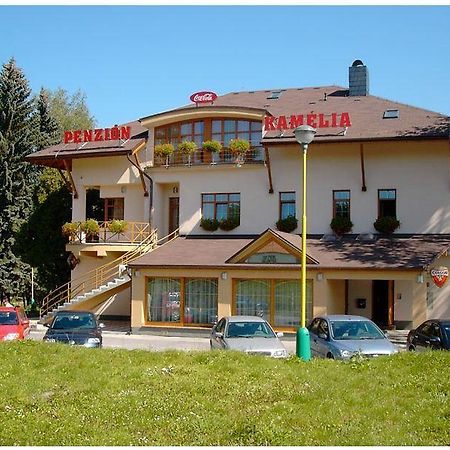 Penzion Kamelia Žilina Buitenkant foto